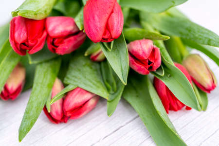 Beautiful flat lay with red tulips flowers on a light grey wooden texture. Colorful Card for Mothers...