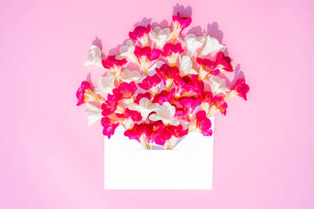 Beautiful flowers in opened postal envelope with copy space for text on a pink paper background. Festive greeting concept. Top view, flat lay. High quality photoの写真素材