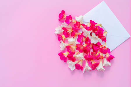 Beautiful flowers in opened postal envelope with copy space for text on a pink paper background. Festive greeting concept. Top view, flat lay. High quality photoの写真素材