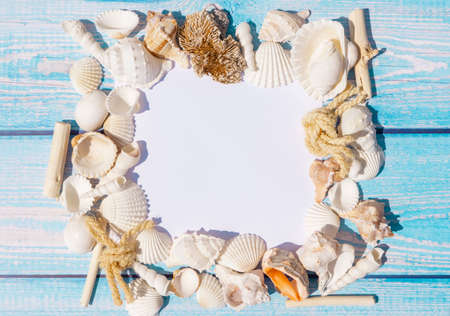Top view of white paper card for photo or lettering with seashells and starfish on blue wooden...
