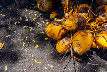 A bunch of yellow fresh coconuts is on sale at fruit market. Tropical delicious food High quality photo.の写真素材