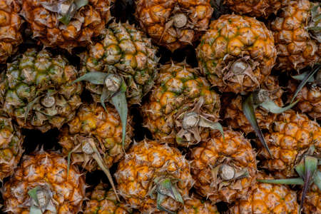 Ripe pineapple Victoria for sale at a market in Mauritius. Pineapple texture background. High...