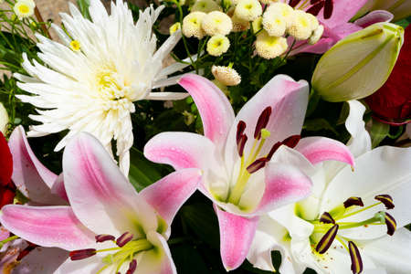 Close up of colorful bouquet - white chrysanthemum, purple and white lily flowers, red roses. High quality photoの写真素材