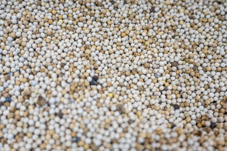 Selective focus. Background of aromatic white peper for preparing homemade food. Close up of Indian...