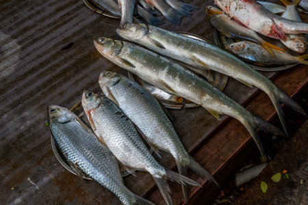 Close up view of fishes in the small market in India. High quality photoの写真素材