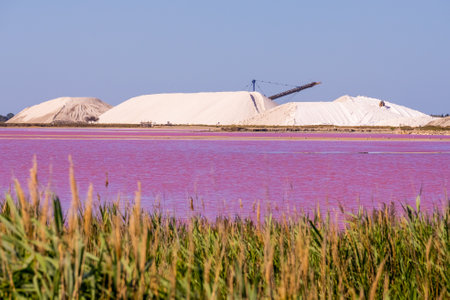 Salt production, pink lagoon and hills in the Mediterranean sea is located in Aigues-Mortes . Camargue, France. High quality photo. High quality photoの写真素材