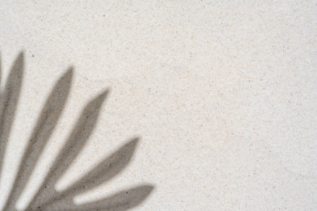 Background of palm leaf shadow on light beach sand with a place for text. Top view. High quality photoの写真素材