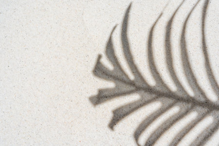 Background of palm leaf shadow on light beach sand with a place for text. Top view. High quality photoの写真素材