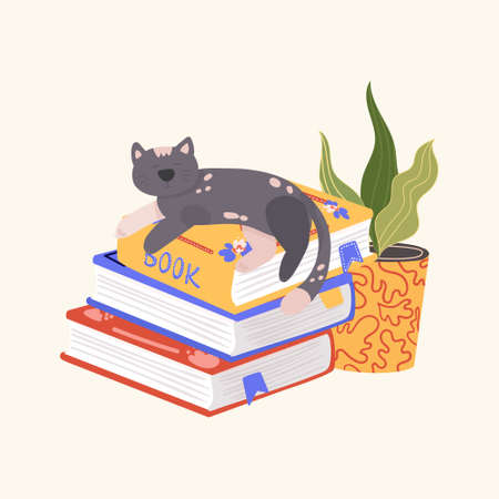Cat is sleeping on the books. Different kind books with ornaments. Books, houseplant with cute kitten. Vector flat colorful cartoon illustrationのイラスト素材
