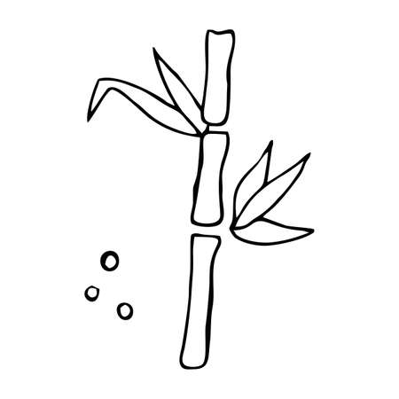 Bamboo, spa salon vector illustration isolated black line. scribbleのイラスト素材
