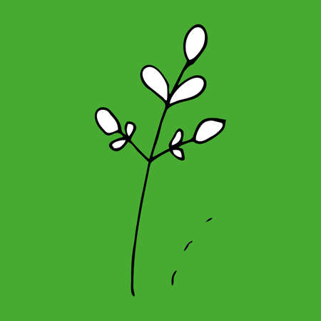 Vector illustration of a branch on a green background, doodles line nature plant botany isolated.のイラスト素材
