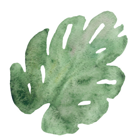 A watercolor painting of a green leaf on a white backgroundの写真素材