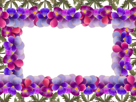 Elegant floral frame with violet and pink flowers, perfect for invitations, announcements, and greeting cards. Isolated objects on a white background for the design of a booklet, flyer, e-pack, label or advertisement. Digital art.の写真素材