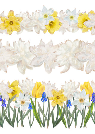 Spring flower pattern with daffodils, tulips, and muscari in white, yellow, and blue, creating an appealing design. Isolated objects on a white background for the design of a booklet, flyer, e-pack, label or advertisement. Digital art.の写真素材