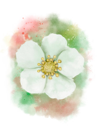 Beautiful white flower in watercolor style with delicate pastel backgrounds for nature and art themes. Isolated object for the design of a booklet, flyer, e-pack, label or advertisement. Digital art in watercolor style.の写真素材