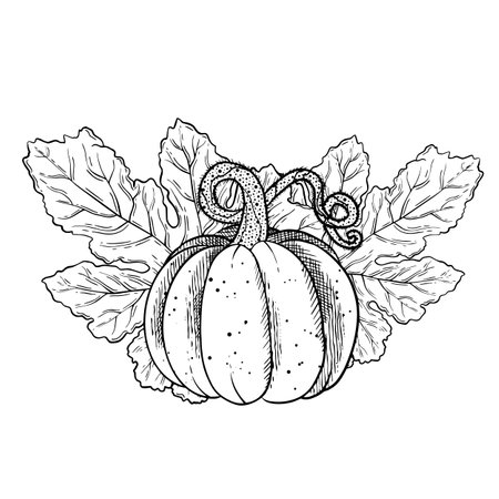 A Charming and Whimsical Pumpkin Illustration Featuring Beautiful Leaves and Vinesのイラスト素材