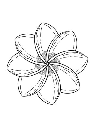 An Exquisite and Elegant Floral Design Featuring Beautiful Petals in a Symmetrical Arrangementのイラスト素材