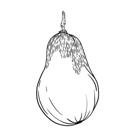 A beautiful handdrawn illustration showcasing a pear with artistic detailsのイラスト素材