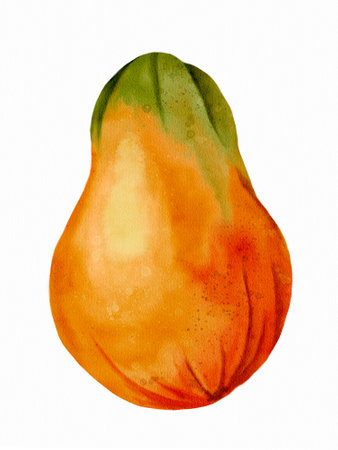 A Stunning Watercolor Illustration of a Pear-Shaped Fruitの写真素材