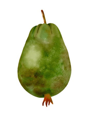 An Illustration of a Fresh Green Pear Promoting Healthy Eating and Nutrition Choicesの写真素材