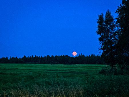 A Serene Moonrise Over a Tranquil Meadow at Dusk, Creating an Enchanting Atmosphereの写真素材