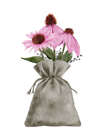Echinacea Flowers are beautifully arranged in a Rustic Bag, adding character to any spaceの写真素材