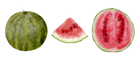 Delicious Fresh Watermelon Slice Collection Whole, Half, and Wedge Options Perfect for the Summer Season and Picnicsの写真素材