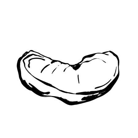 Artistic sketch of mandarin wedge for promotional materialsのイラスト素材