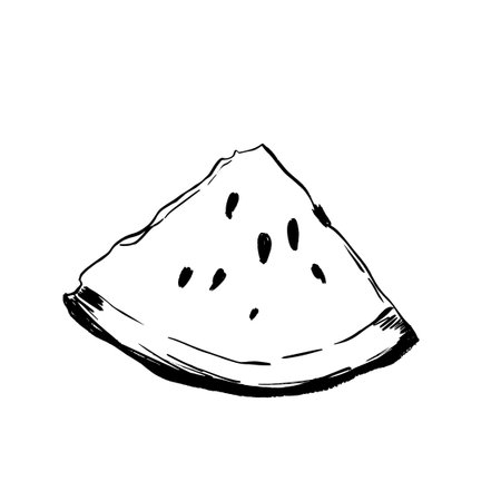 Seasonal picnic theme with bold watermelon outline sketchのイラスト素材