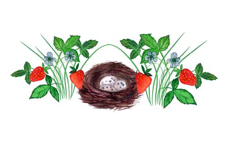 Ripe red strawberry bush with green leaves and colors, bird nest isolated on white background, . Watercolor. Suitable for decorating fabrics, children's clothing, wallpaper, curtains, pillows.の写真素材