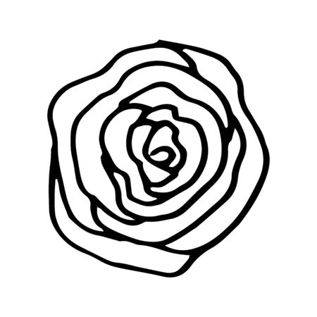 Colorful black and white pattern for coloring. Daisy flower illustration. Coloring pages for children and adults. Vector image. wedding decoration. Circuit.のイラスト素材