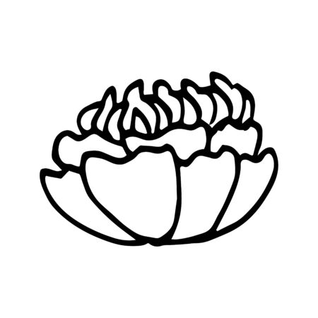 Colorful black and white pattern for coloring. Daisy flower illustration.のイラスト素材