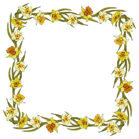 Elegant floral backgrounds with daffodil garden flower, delicate greenery, print frame, copy space. Botanical wedding invitation design, greeting card template, banners, posters, seasonal sales.のイラスト素材