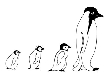 Baby penguin. Hand drawn picture. Sketch for anti-stress adult coloring book in zentangle style. Vector illustration for coloring page, isolated on white background.のイラスト素材