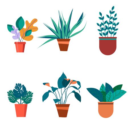 Gardening, garden cart with beautiful flowers, different flowers and plants in pots and vases.のイラスト素材