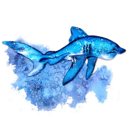 Blue shark, watercolor hand drawn illustration. Summer mood, sea, ocean. Sea and ocean creatures in blue tones. For the design of invitations, children's albums, textiles, thieves, scrapbooking.の写真素材