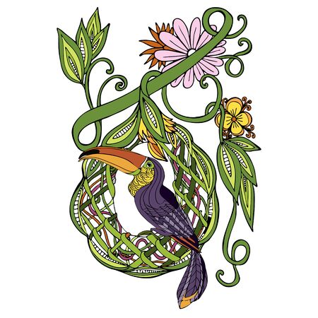 Vector composition of toucan and palm branches. Hand drawing coloring book for children and adults. Beautiful drawings. art print for travel and leisure, fashion, spa and wellness, weddingsのイラスト素材