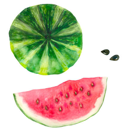 Bright watercolor watermelon. Slices and slices of red watermelon with seeds. Summer vacation and food. Watercolor. Organic, green, red. For the design of postcards, stickers, clothes, textiles, notebooks.の写真素材