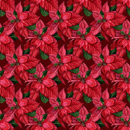 Seamless christmas pattern with red poinsettia, black background, gold outline, holly, mistletoe and berries.の写真素材