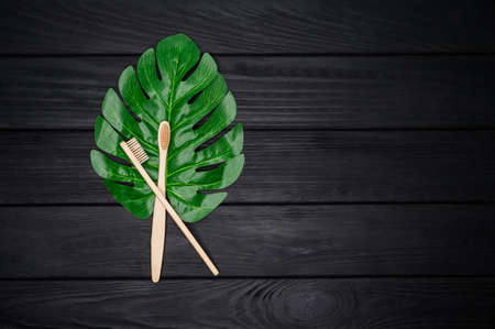 Two bamboo toothbrushes with green leave of monstera on wooden dark background, flat lay, copy...