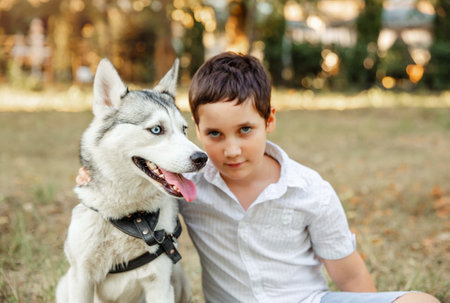 Selective focus of husky dog. Portrait of boy is walking with dog. Blurred little child petting cute dog. Happy kid cuddling puppy. Family spend time together. Veterinary medicine, animal careの写真素材