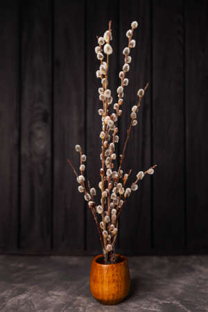 Beautiful home decor in spring, copy space. Fresh fluffy willow twigs in vase. Vase with willow...
