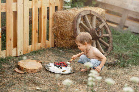 Funny american toddler celebrating holiday. Kid looking at tasty cake. Close up of cake in nature. Birthday cake. Happy kid with birthday cake. Adorable little boy eating pie in nature. Kid restingの写真素材