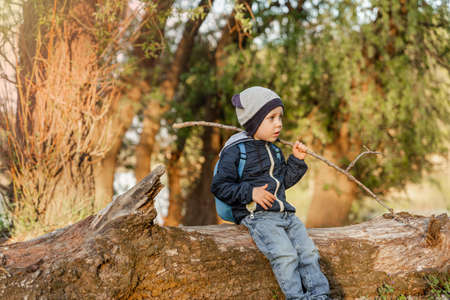 A Little boy walking in wood. Little boy exploring nature vacation. Happy boy playing on wooden...