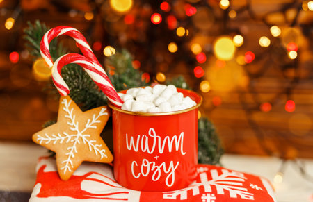 Xmas decorations. Cozy winter morning at home. Composition with a cup and red blanket. Christmas hot...