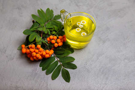 Cup of healthy tea with healing herbs. Herbal medicine. Cup of herbal tea with wild flowers and...