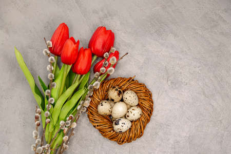 A bouqet of five red tulips and willow branches, quail eggs in the brown twig nest. Easter decoration on the grey concrete background. Easter decoration with the space for text. Top view.の写真素材