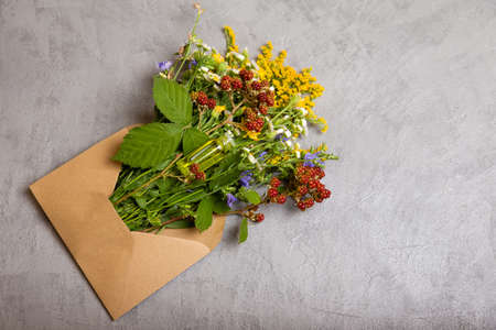 Apothecary of natural wellness and self care. Natural medicine, herbs. Healing herbs, herbal medicine. Herbs on gray background top view frame copy space. Fresh herbs from the garden for aromatherapyの写真素材