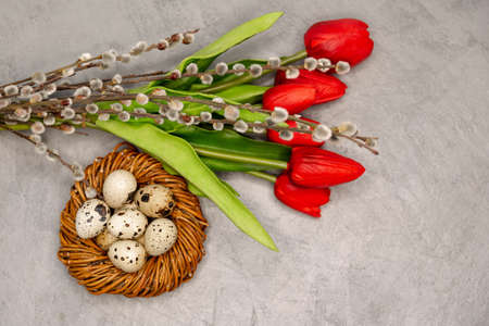 Quail eggs in the brown twig nest . A bundle of five blossoming red flowers and willow branches. Easter decoration on the grey concrete background. Easter decoration with the copyspace.の写真素材
