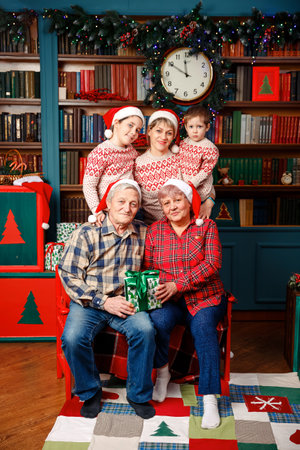 Noel gathering. Cheerful grandparents and grandchildren are taking photo. Fairy miracle wonder cozy....